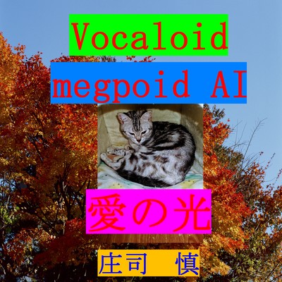 愛の光のジャケット写真