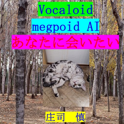 あなたに会いたいのジャケット写真