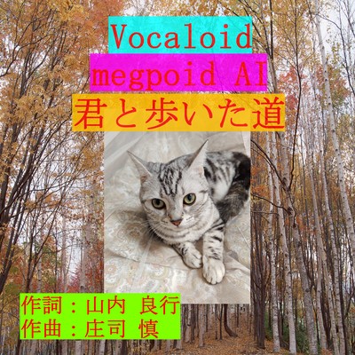 君と歩いた道のジャケット写真