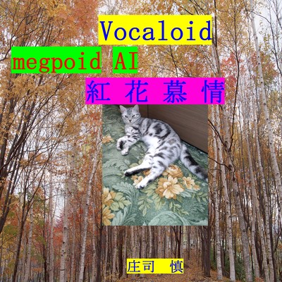 紅花慕情のジャケット写真