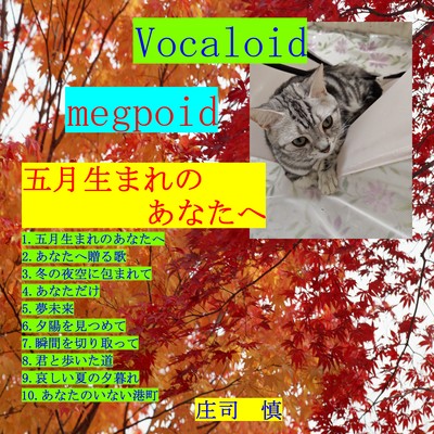 五月生まれのあなたへのジャケット写真