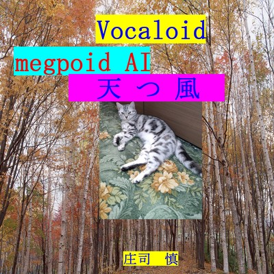 Wind in the sky Front Cover