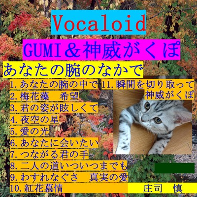 あなたの腕のなかでのジャケット写真