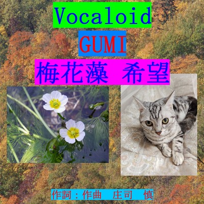 梅花藻 希望のジャケット写真