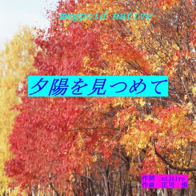 夕陽を見つめてのジャケット写真