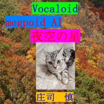 夜空の星のジャケット写真