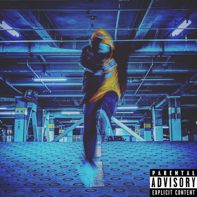 Cheetah Flow Front Cover