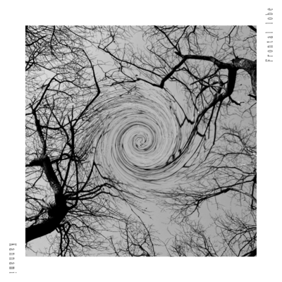 フランタル・ロウブのジャケット写真