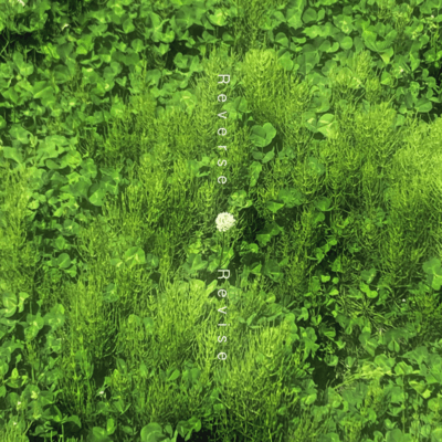 Reverse/Revise Front Cover