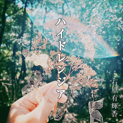 hydrangea Front Cover