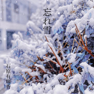 忘れ雪のジャケット写真