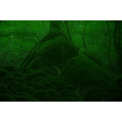 而二不二のジャケット写真