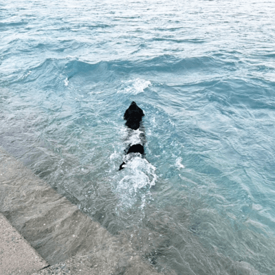 Nandemonai (feat. 369) Front Cover
