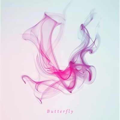 Butterfly Front Cover