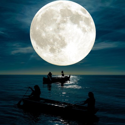 Moonlight Front Cover