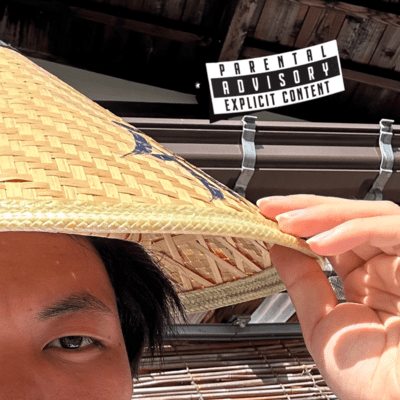 旅鴉のジャケット写真