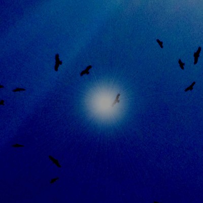 7th Doorのジャケット写真