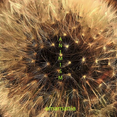 ANIMISM Front Cover