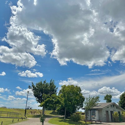 生活*1のジャケット写真