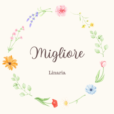 MIGLIORE Front Cover