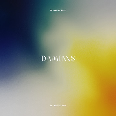 upside down / dawn chorus Front Cover