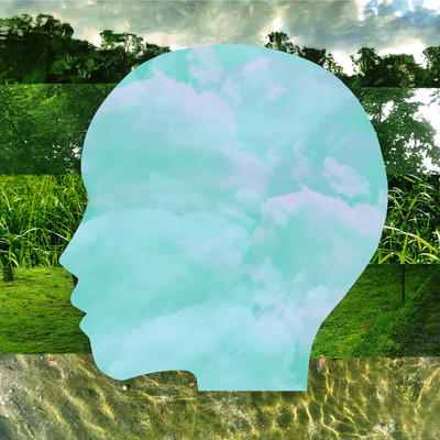 in the sounds of life Front Cover