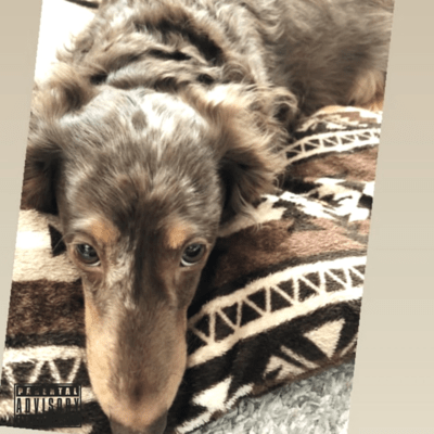 忘れないためにのジャケット写真