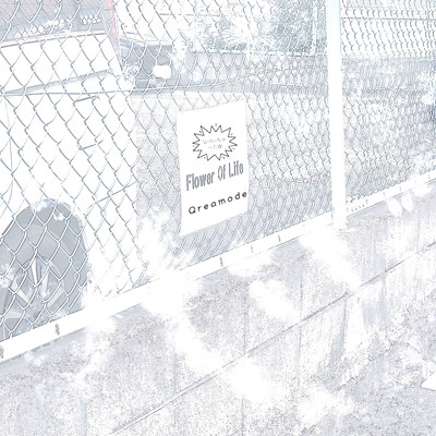 Flower Of Life Front Cover