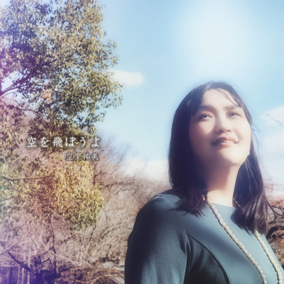 Let's fly in the sky. Front Cover