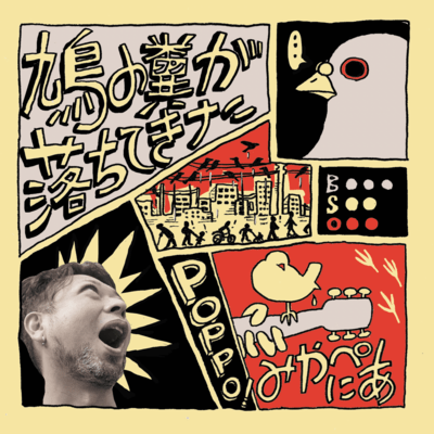 Pigeon poop fell down Front Cover