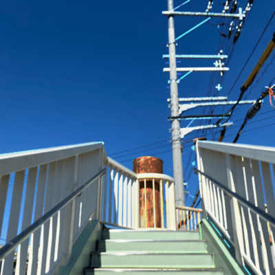 六日目の蝉のジャケット写真