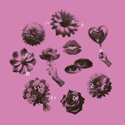 かわいいひとのジャケット写真