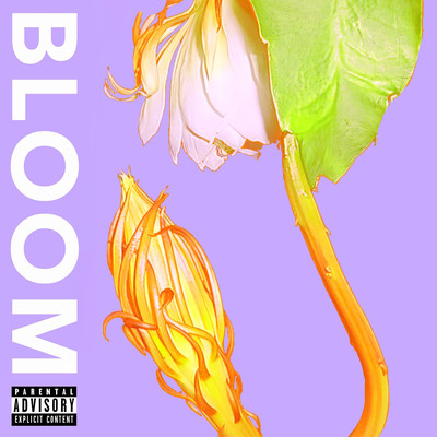 BLOOM Front Cover