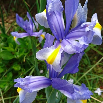 ONETIMEのジャケット写真