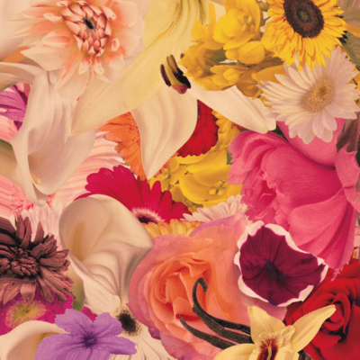 HANA Front Cover