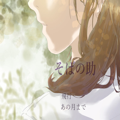 fly by my self Front Cover