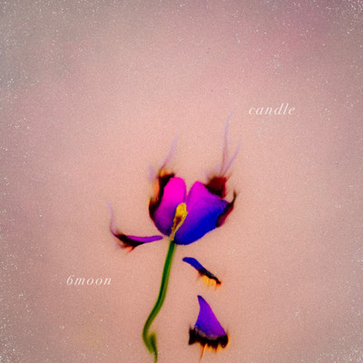 candle Front Cover