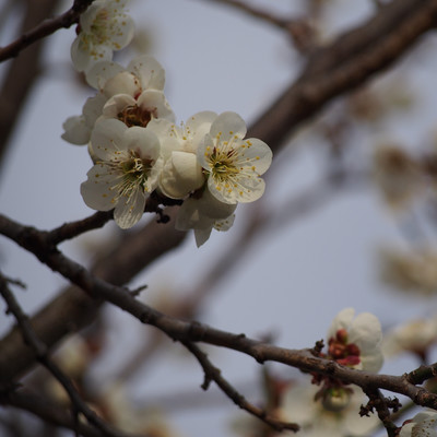 ventilation hole Front Cover