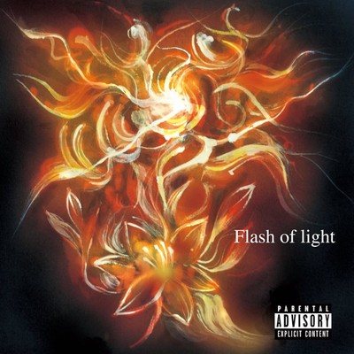 Flash of light Front Cover