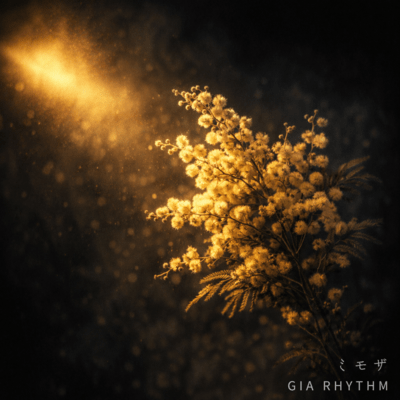 mimosa Front Cover