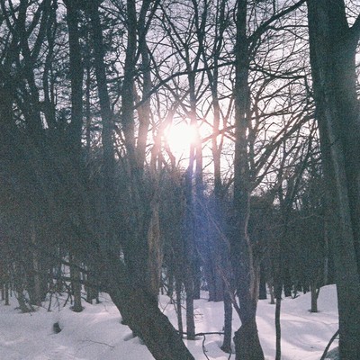 Sculptural Islandのジャケット写真