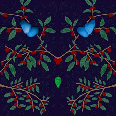 Lotus Treeのジャケット写真