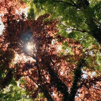 #4+のジャケット写真