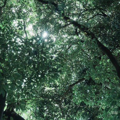 Deep Green Front Cover