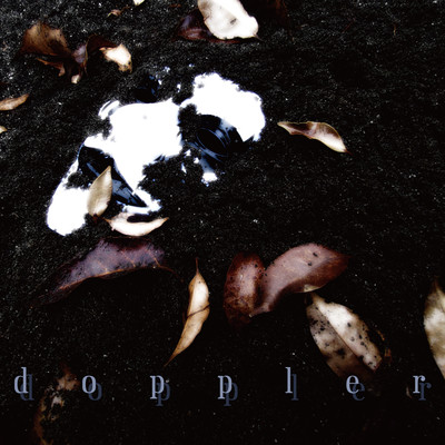 doppler Front Cover