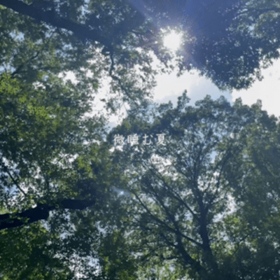 微睡む夏のジャケット写真