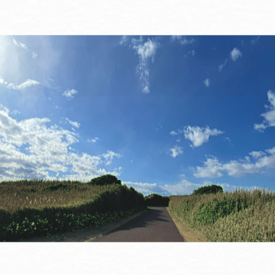 To Somewhere (feat. KASANE TETO) Front Cover