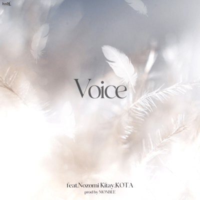 Voice (feat. Nozomi Kitay & KOTA) Front Cover