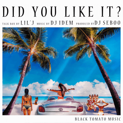 DID YOU LIKE IT?のジャケット写真