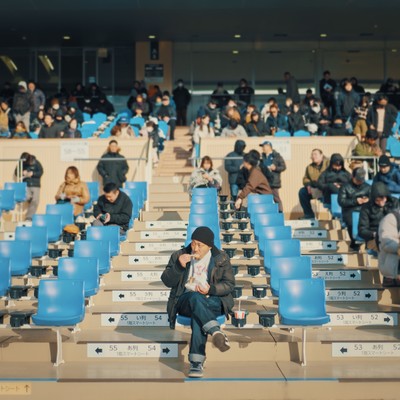 珍名馬のジャケット写真